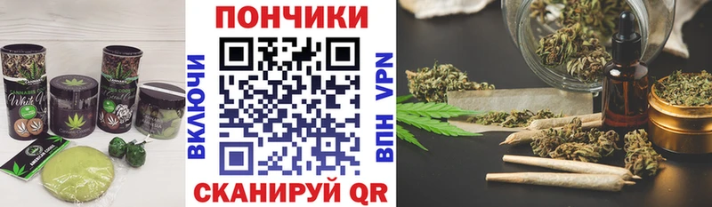 купить  цена  Байкальск  Canna-Cookies конопля 