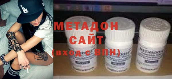 прущие грибы Аркадак