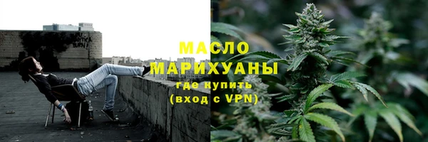 прущие грибы Аркадак