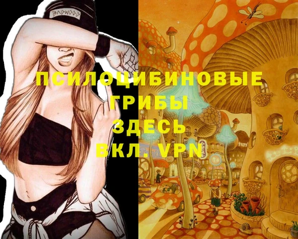 прущие грибы Аркадак
