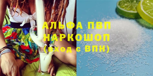 прущие грибы Аркадак