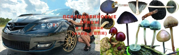 mdpv Арсеньев