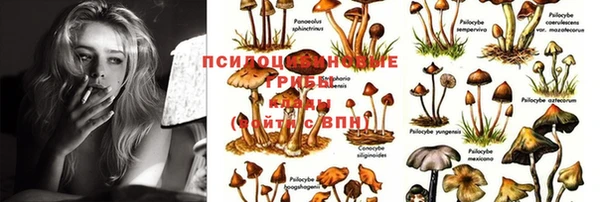 mdpv Арсеньев